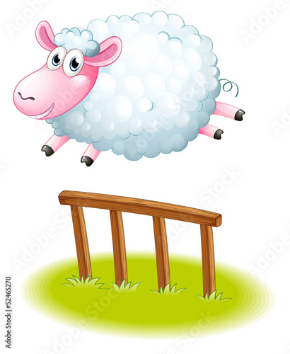 A sheep jumping