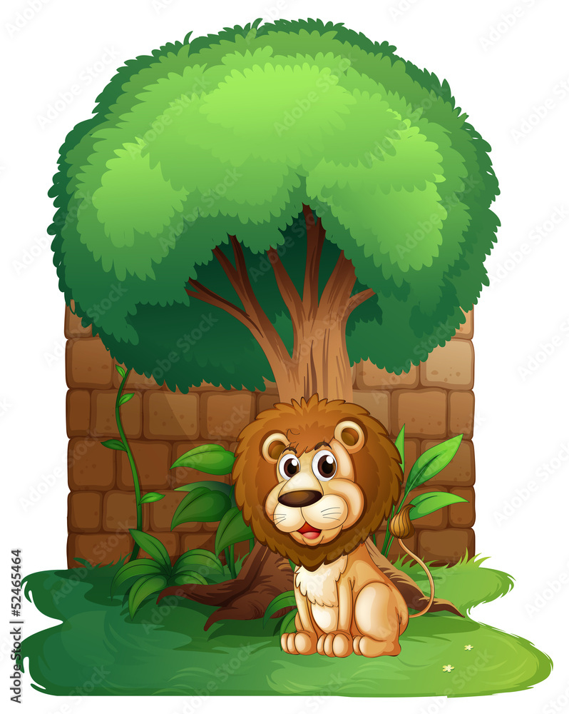 Fototapeta premium A lion under a big old tree