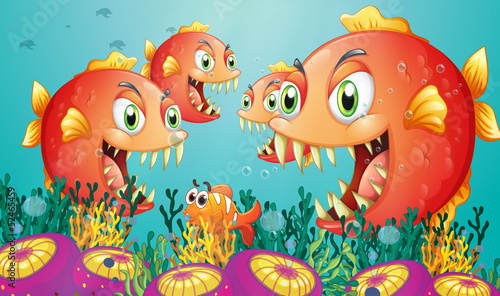 A school of piranha under the sea