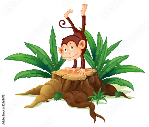 A stump with a playful monkey