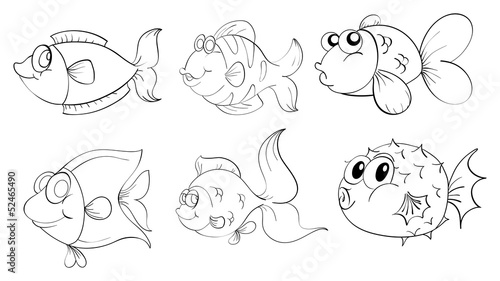Different fishes in a doodle design