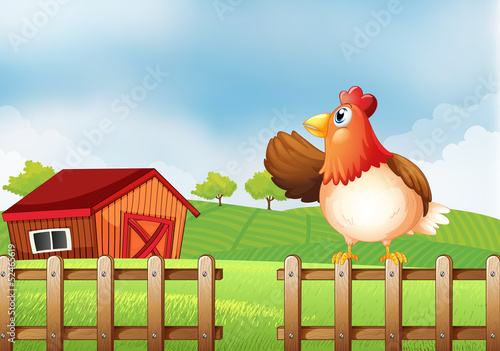 A farm with a hen at the fence