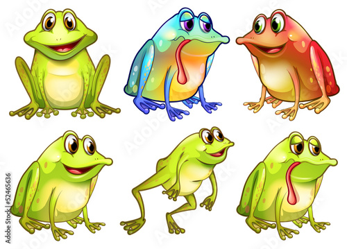 Six different frogs