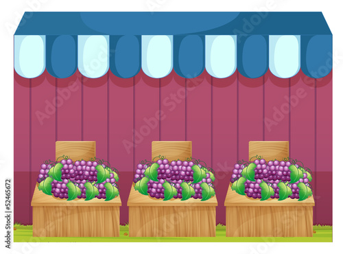 Fruit stands with grapes