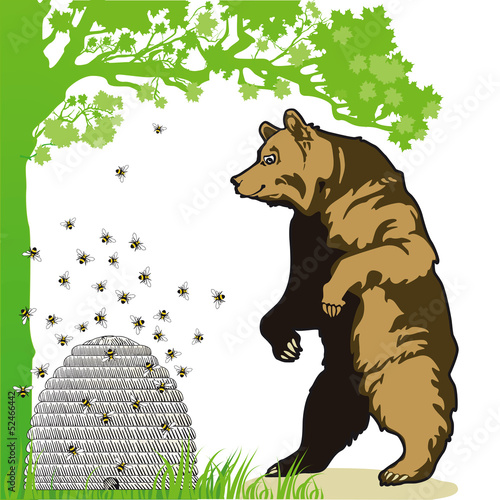 Bär mit Bienenstock