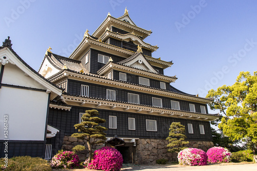 Photos Okayama castle in Japan Okayama
