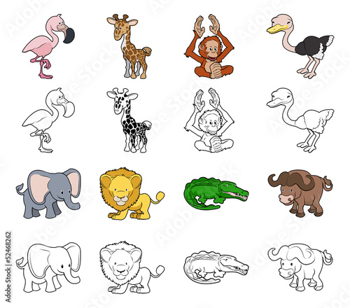 Cartoon Safari Animal Illustrations