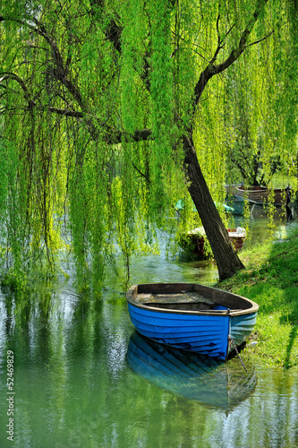 Fotografie Salice piangente e barca sull'Adda a  Brivio, Lombardia, Italia