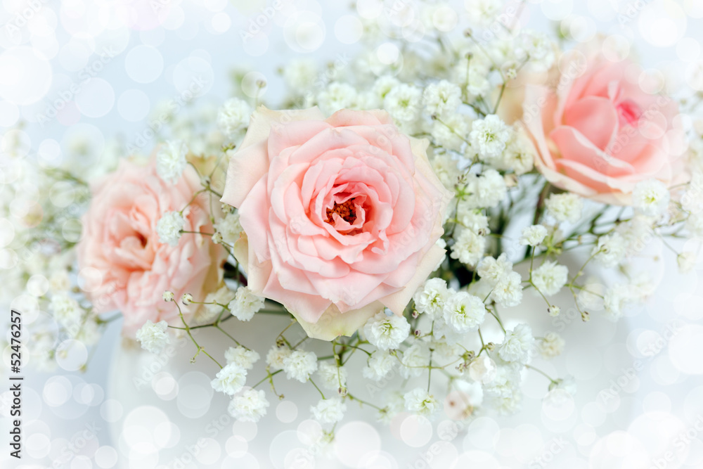beautiful roses beautiful roses