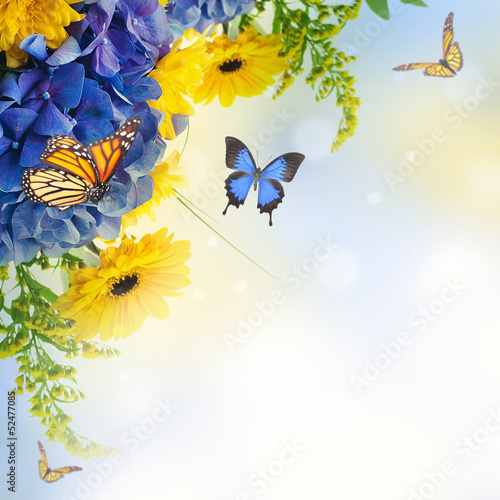 Fototapeta Naklejka Na Ścianę i Meble -  Bouquet from blue hydrangeas and  butterfly, a flower background