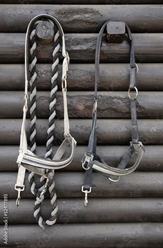 Details of diversity used horse reins