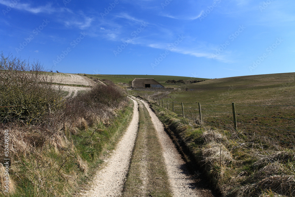 Dorset Countryside England