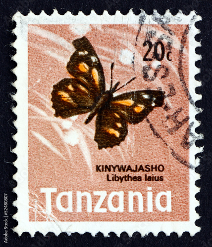 Postage stamp Tanzania 1973 African Snout Butterfly photo