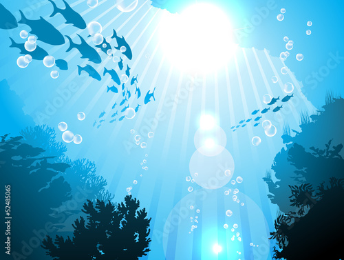 Oceanic fishes against the sun