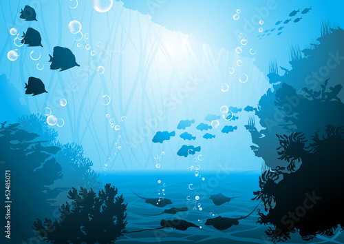 underwater world  oceanic fishes