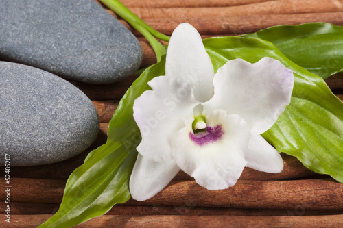 calming composition of oval river's stones with orchid flower.