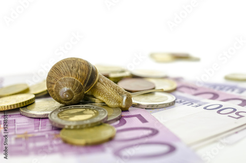Εκτύπωση καμβά Snail sitting on Euro money