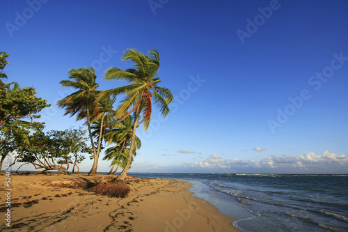 Las Terrenas beach  Samana peninsula