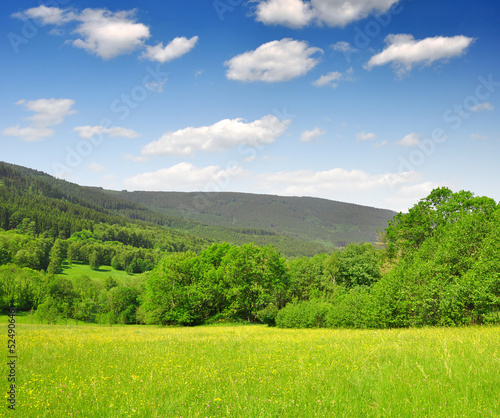 Spring landscape in the national park Sumava - Czech Republic photo