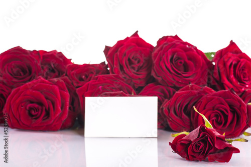 beautiful roses with a blank
