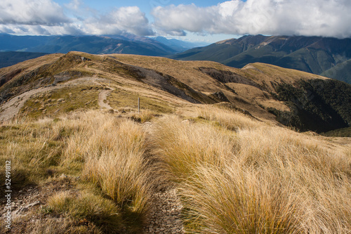 footpath across grassy fields in Nelson Lakes National Park photo