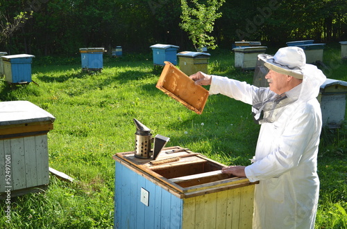 pszczelarz pracujący w pasiece w okresie wiosennym #52497061