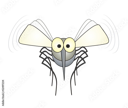 mosquito