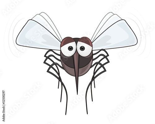 mosquito - illustration