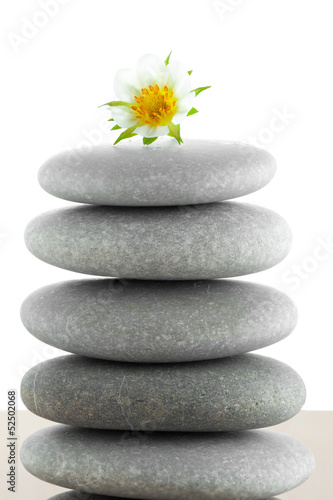 The group of stones with a flower lies on small sea sand