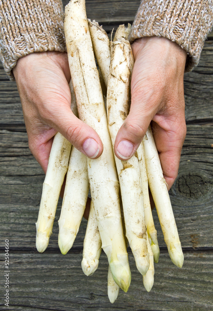 Naklejka premium Spargel