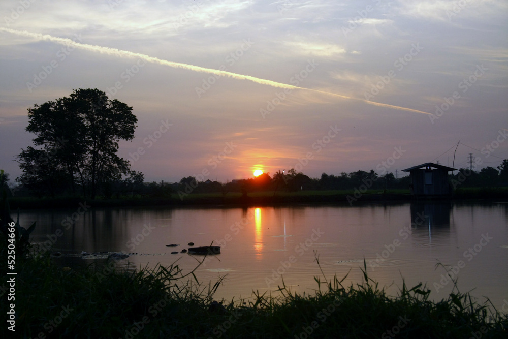 sunset Swamp with Artificial rain