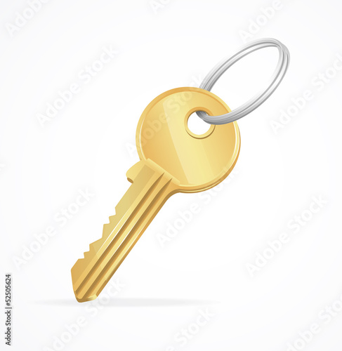 Vector Golden Key