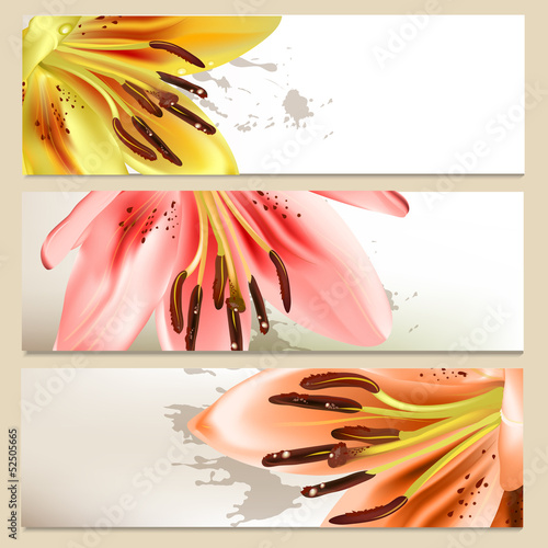 Brochure set with vector lily