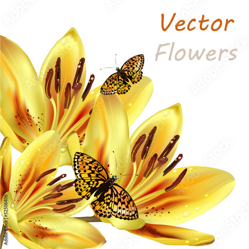 Fototapeta Naklejka Na Ścianę i Meble -  Floral background with detailed vector lily and butterflies