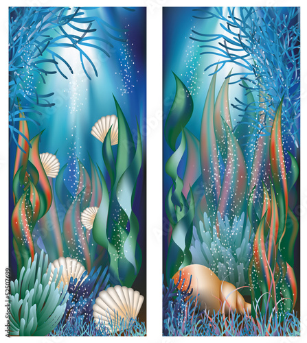 Underwater banners with cockleshells, vector