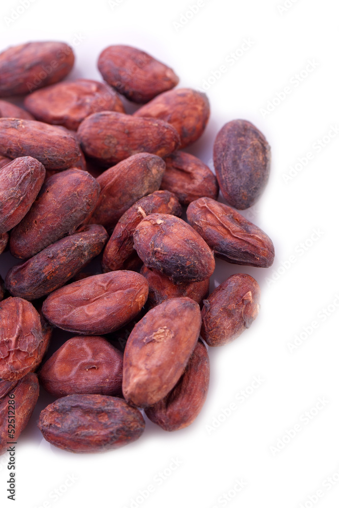 brown natural organic cacoa bean brown natural organic cacoa bean