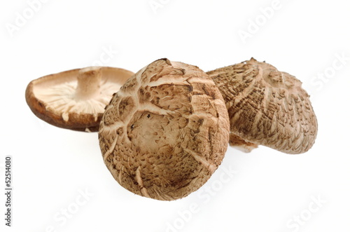 Shiitake mushrooms on white