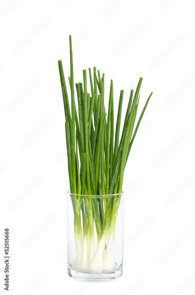 wet spring onion in a glass isolated wet spring onion in a glass isolated