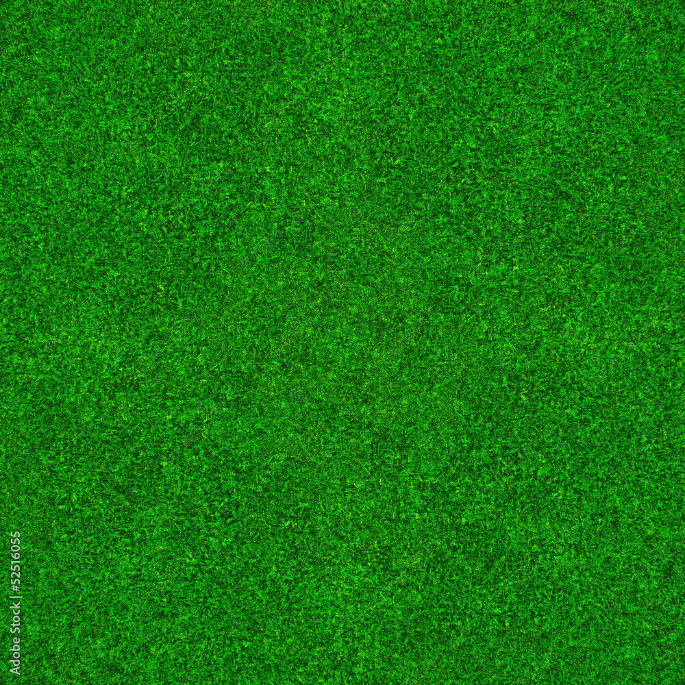 Fototapeta premium Zielona trawa tło