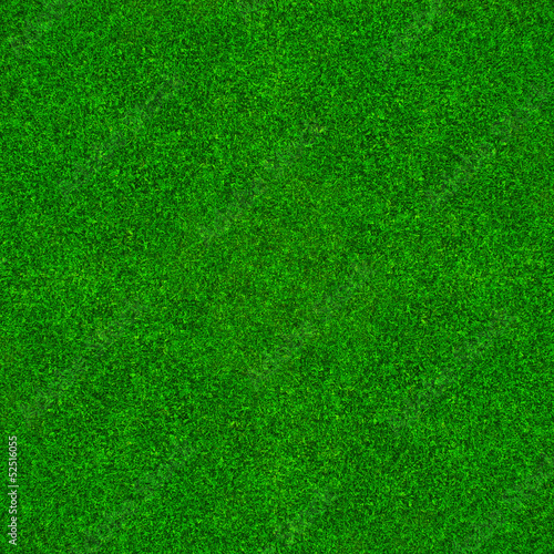 Zielona trawa tło