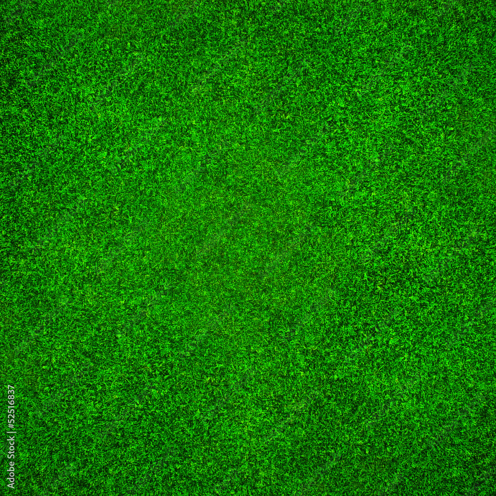 Fototapeta premium Świeża zielona trawa