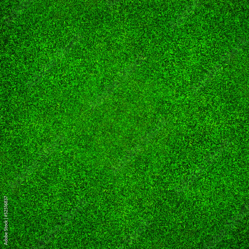 Świeża zielona trawa © Zbyszek Nowak