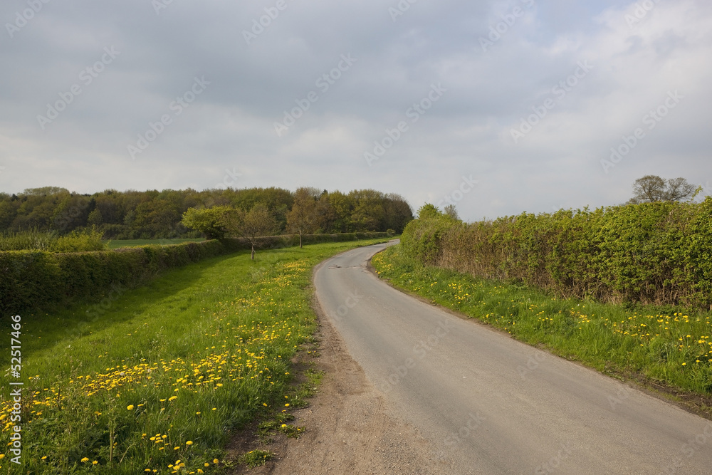 Fototapeta premium english country road