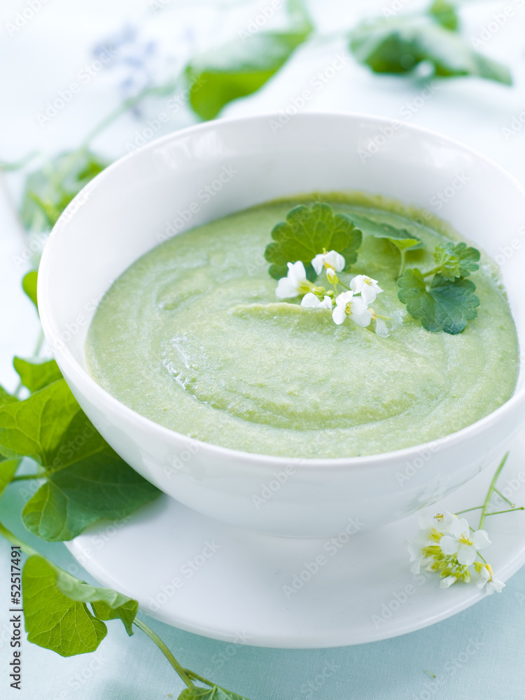soup soup