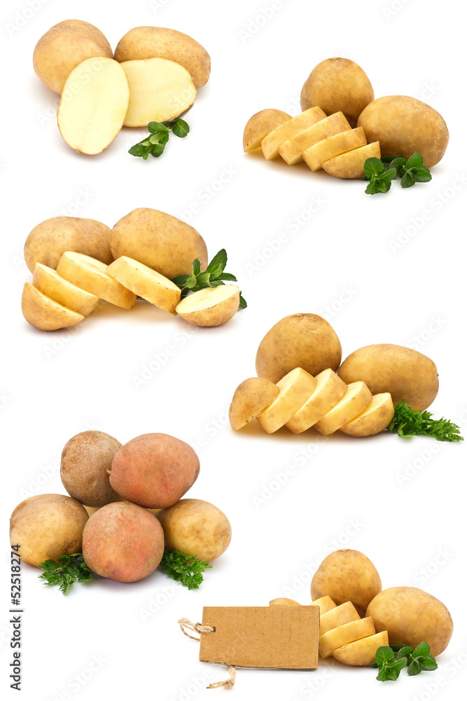 Potato on white background Potato on white background