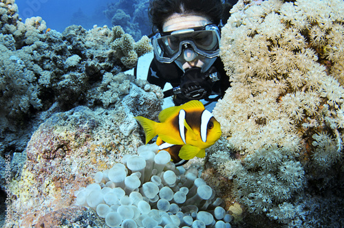 Woman scuba diver exploring anemonefishes