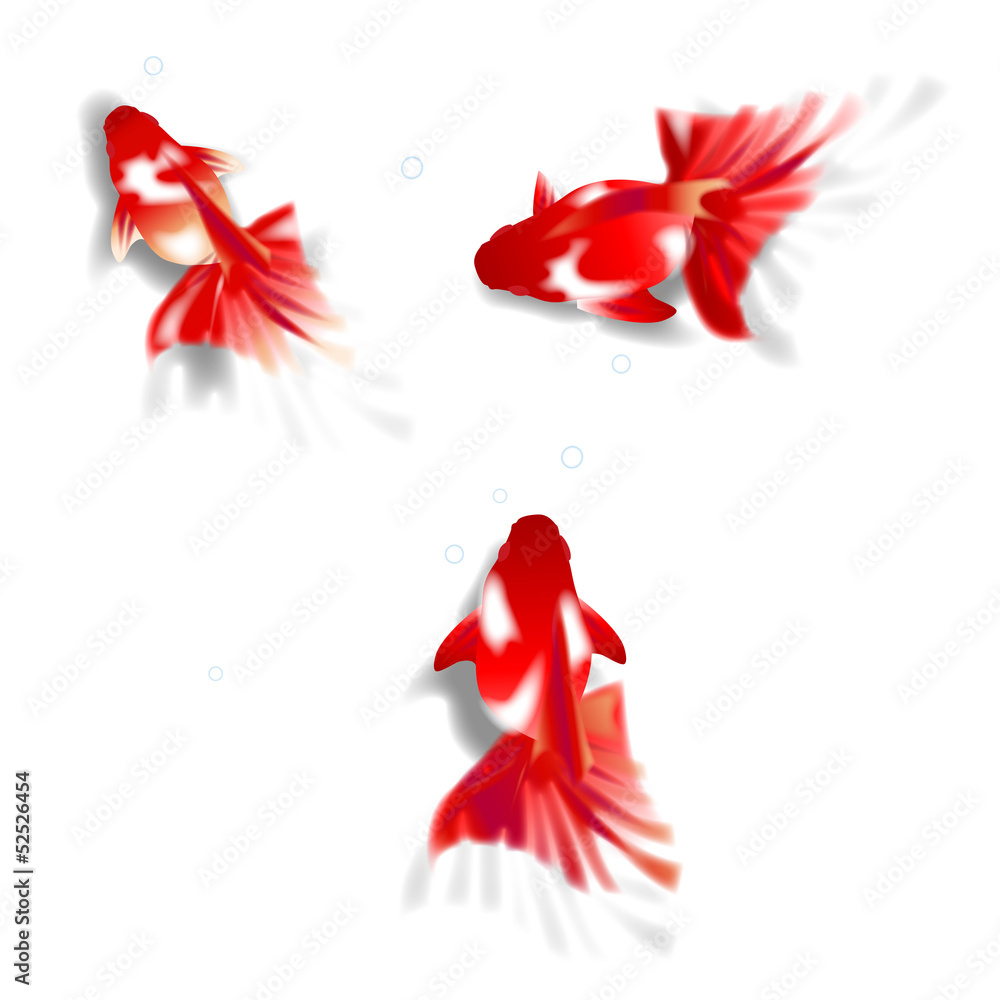 金魚 夏祭り Stock Vector Adobe Stock