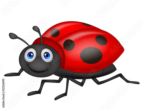 Cute ladybug cartoon