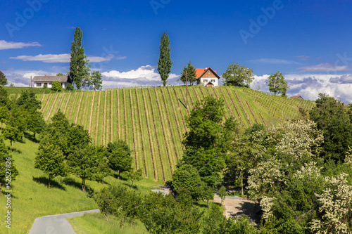 Südsteirische Landschaftsidylle, Österreich photo