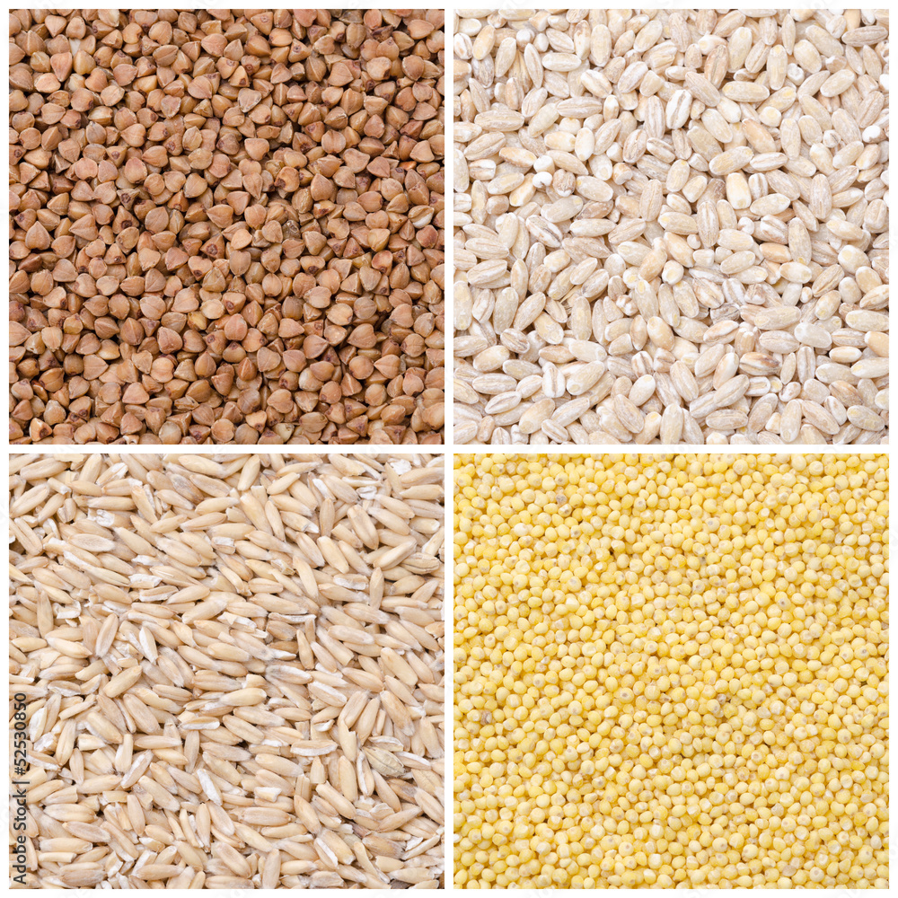collage of different kinds groats collage of different kinds groats